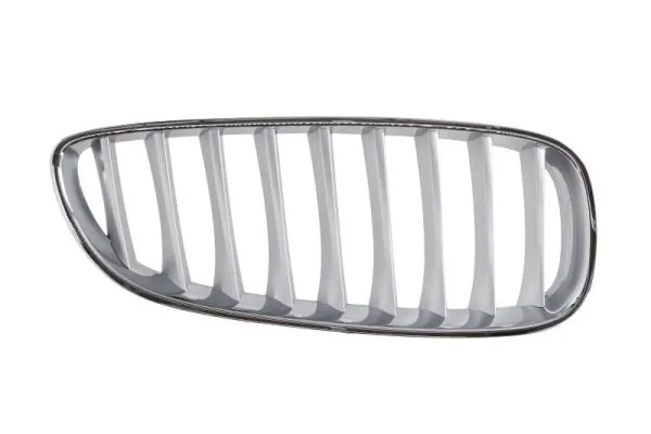 Grila radiator