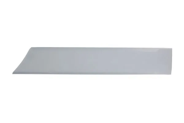Elemente decorative/protectie aripa