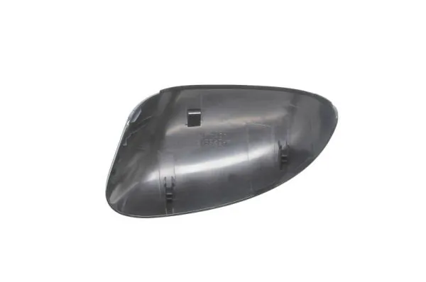 Carcasa oglinda exterioara