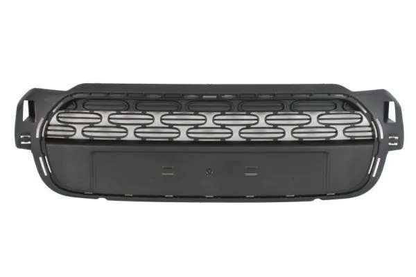 Grila radiator