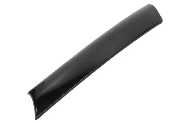 Elemente Decorative/Protectie Parbriz
