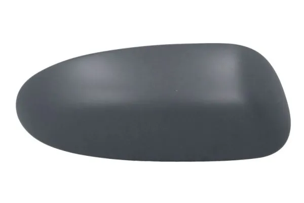 Carcasa oglinda exterioara