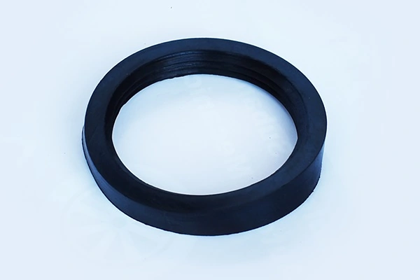 Garnitura carcasa filtru aer