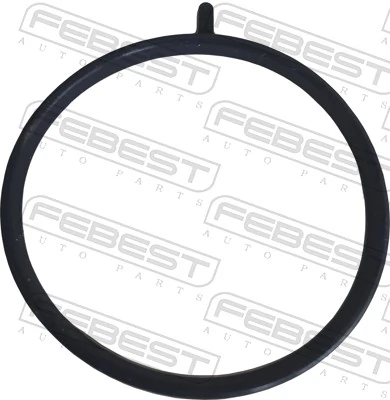 Etansare carcasa clapeta