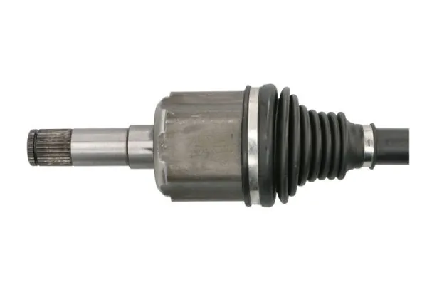 Planetara
