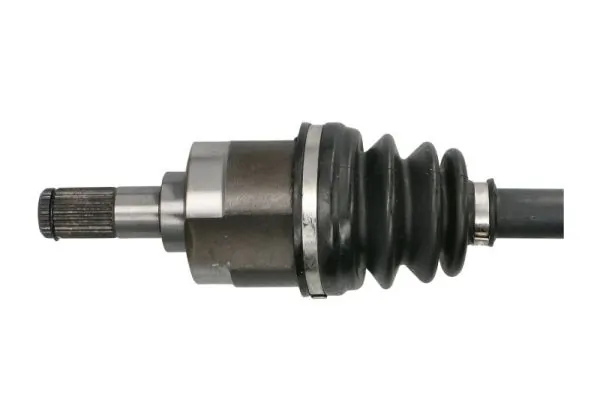 Planetara