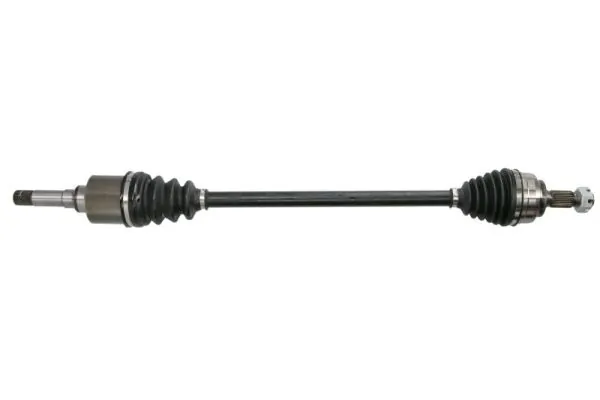 Planetara