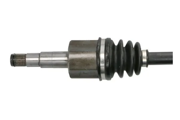 Planetara