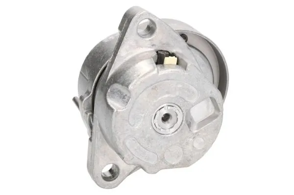 Rola intinzator curea transmisie