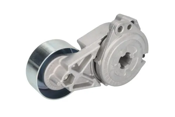 Rola intinzator curea transmisie