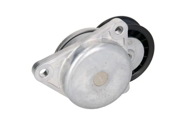 Intinzator curea distributie