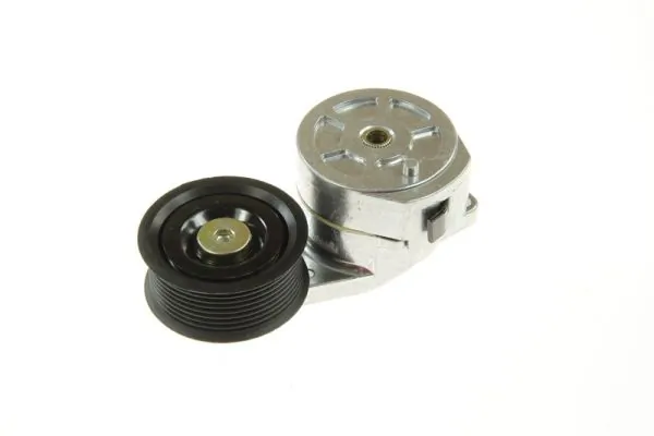 Intinzator curea distributie