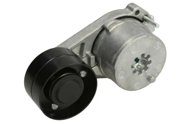 Intinzator curea distributie