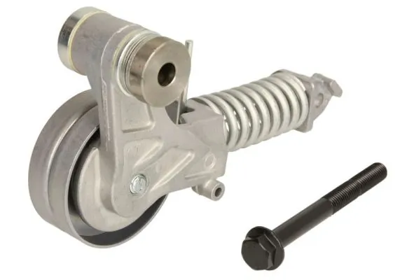 Intinzator curea distributie