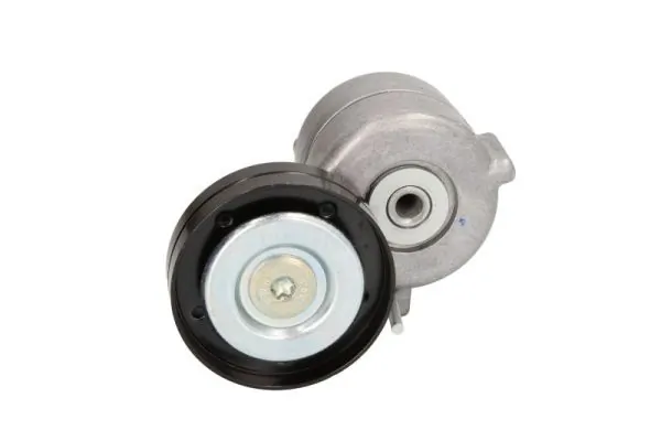 Intinzator curea transmisie