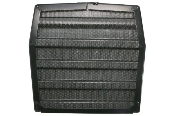 Grila radiator