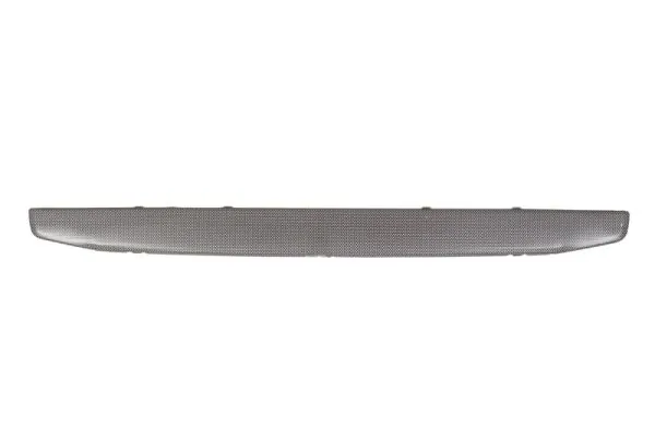 Grila radiator