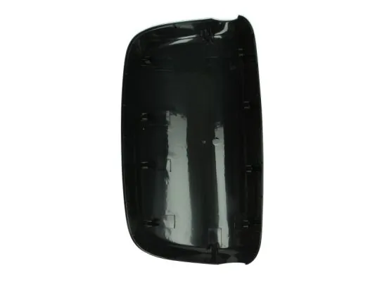 Carcasa oglinda exterioara