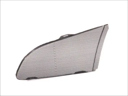 Grila radiator