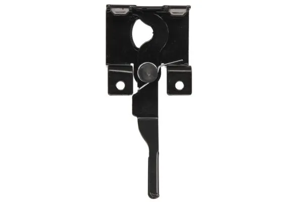 Acoperire grila radiator