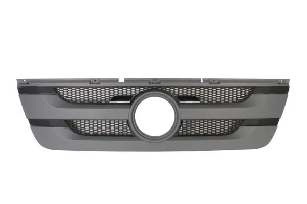 Grila radiator