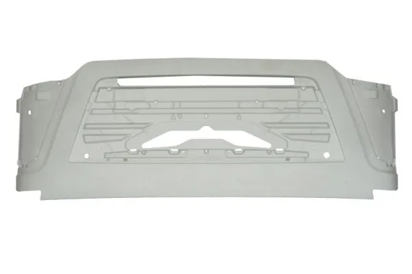 Grila radiator