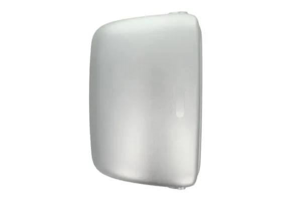 Carcasa oglinda exterioara