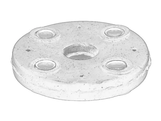 Articulatie, coloana de directie