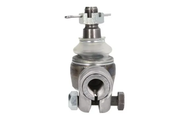 Cap de bara