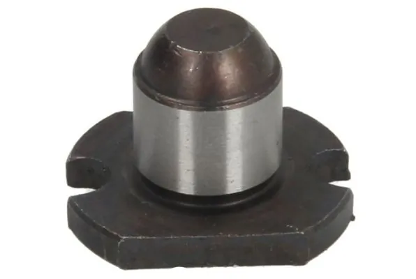 Arbore directie