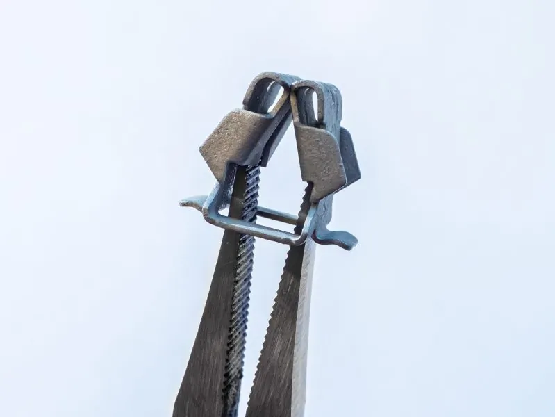 Cleste patent