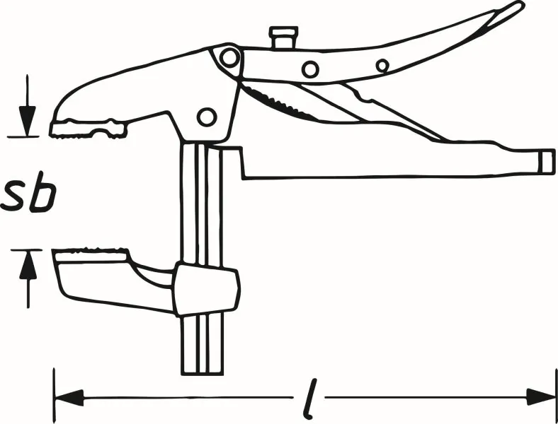 Cleste de fixare