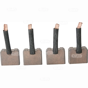 Perie electromotor