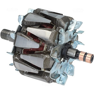 Rotor,alternator