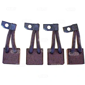 Perie electromotor