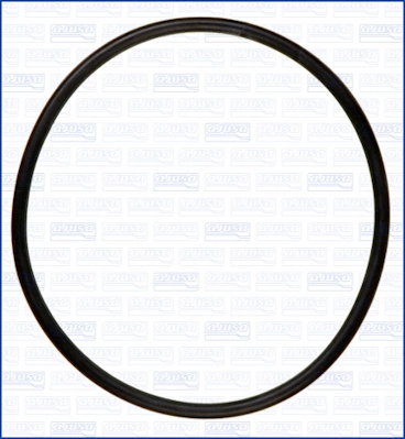 Garnitura termostat