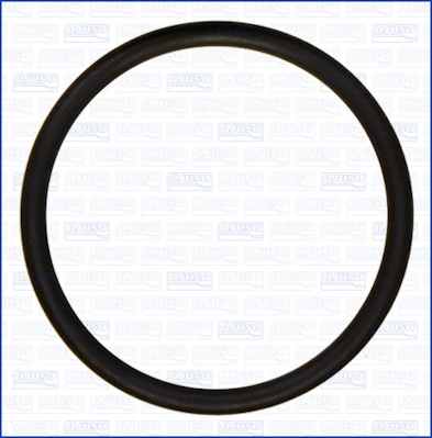 Garnitura termostat