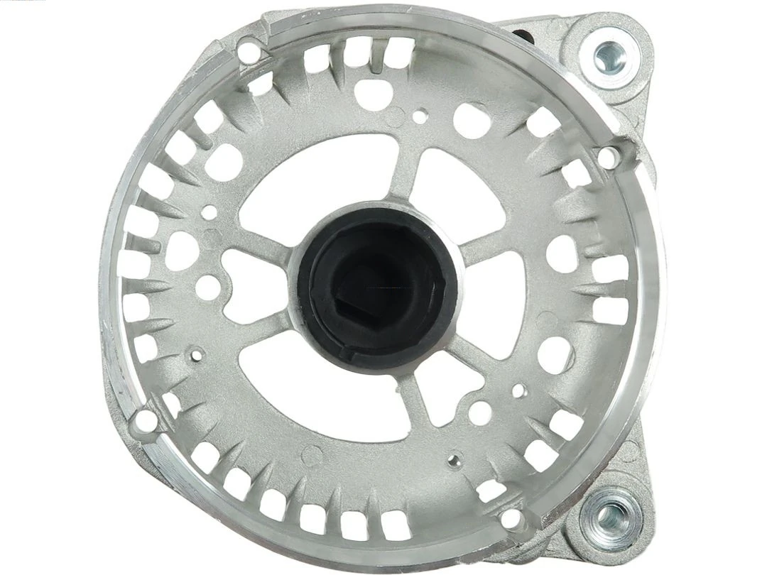 Capac protector alternator
