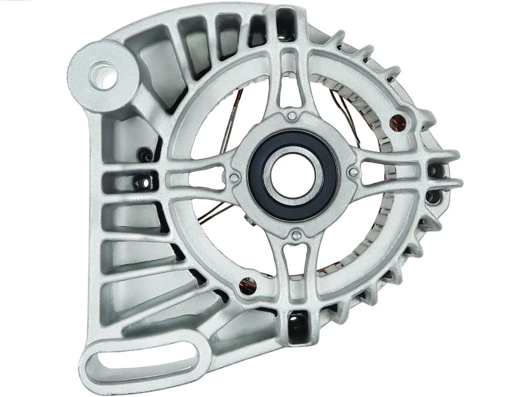 Capac protector alternator