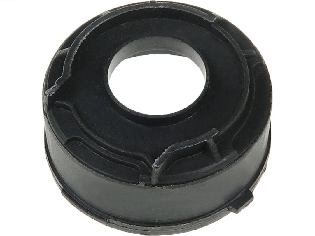Capac protector alternator