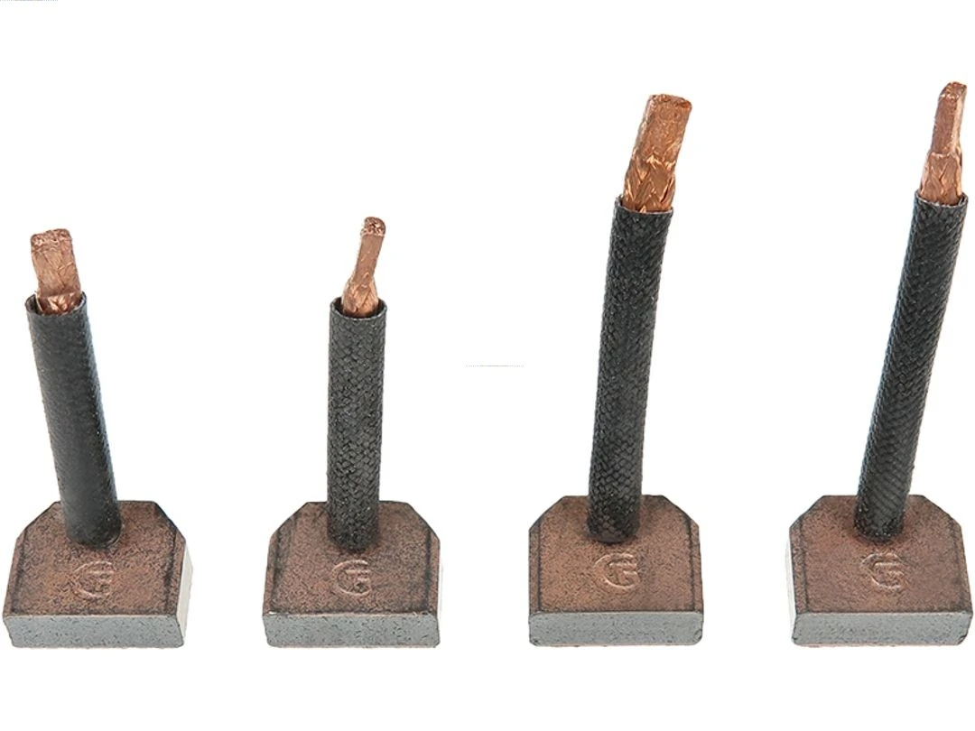 Perie electromotor
