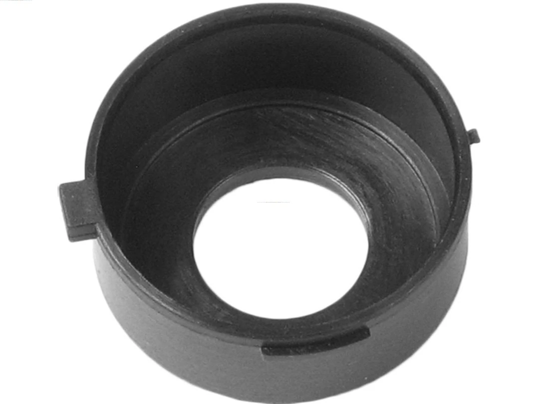 Capac protector alternator