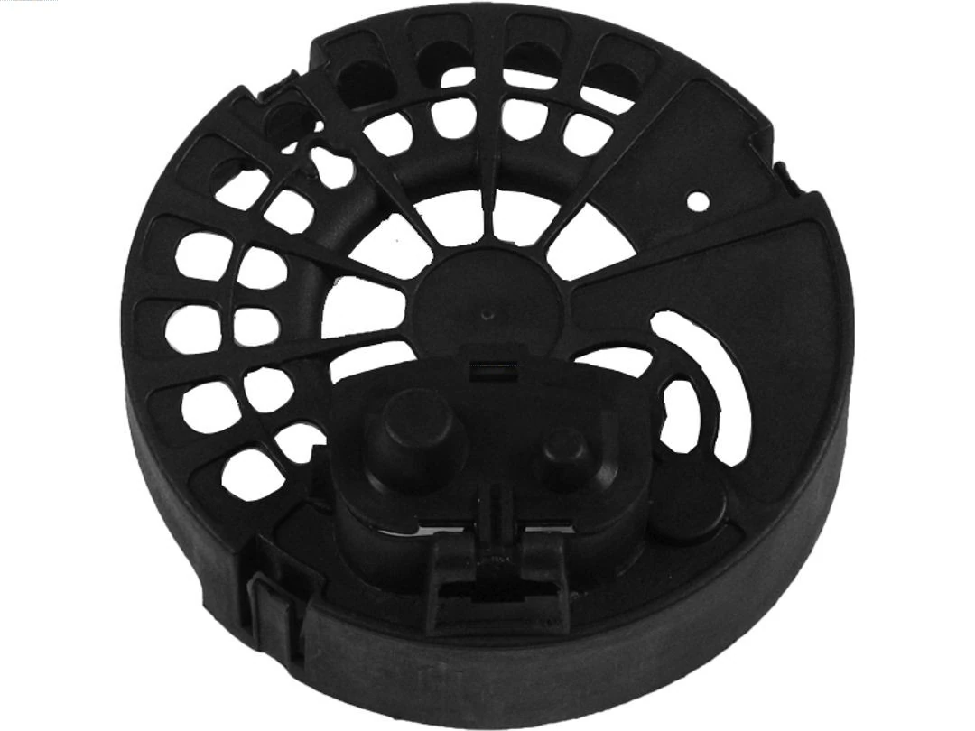 Capac protector alternator