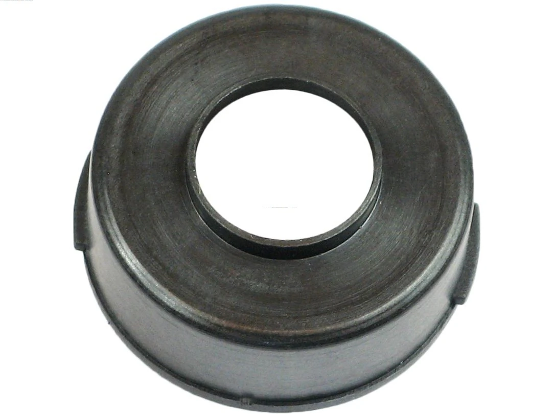 Capac protector alternator