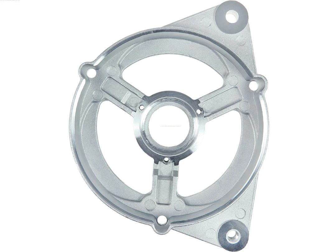 Capac protector alternator