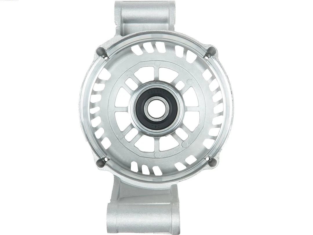 Capac protector alternator