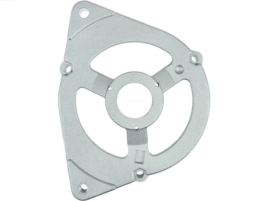 Capac protector alternator