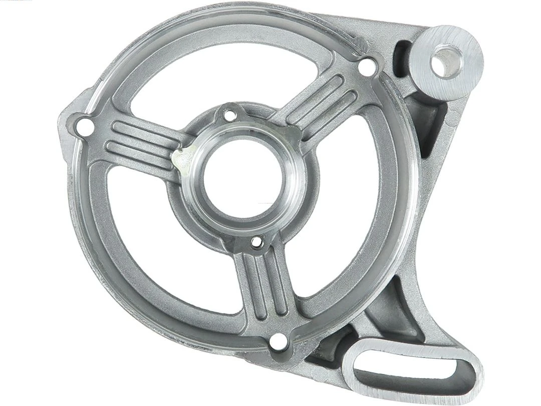 Capac protector alternator