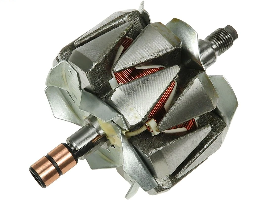 Rotor,alternator