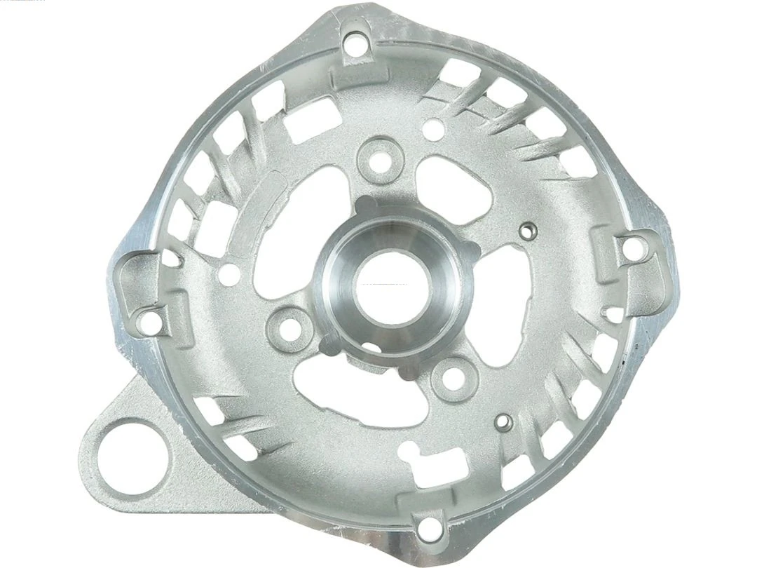 Capac protector alternator